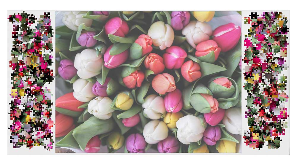 Activities for seniors with limited mobility, jigsaw puzzles