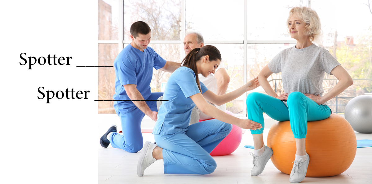 best seniors balance ball workouts for beginners best seniors balance ball workouts for beginners