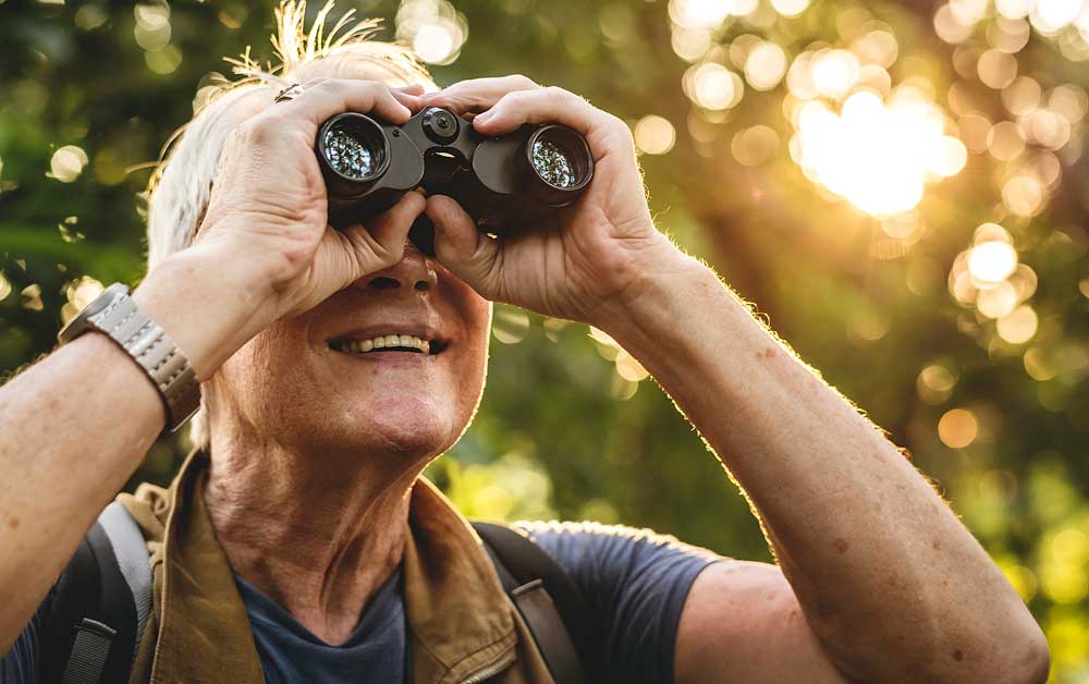 what do old people like, bird watching what do old people like, bird watching