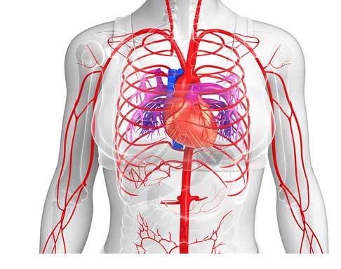 Benefits of post workout massage: Improve blood flow. Benefits of post workout massage: Improve blood flow.