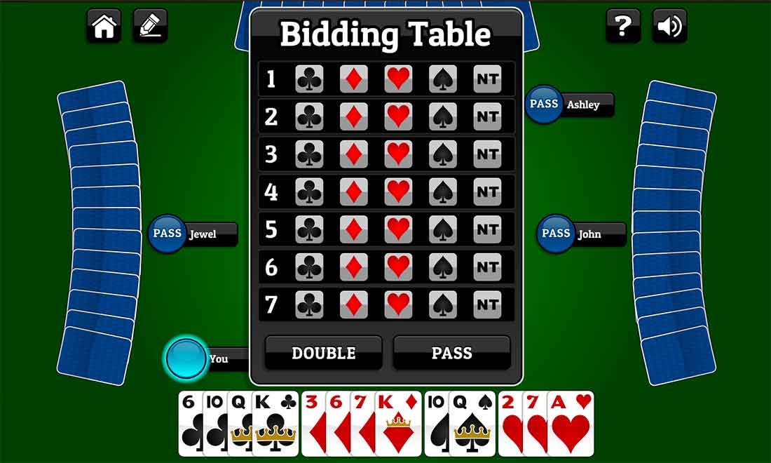 video card games for seniors, bridge video card games for seniors, bridge