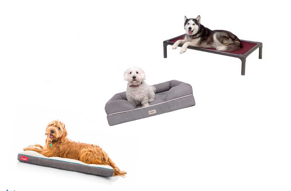 dog beds