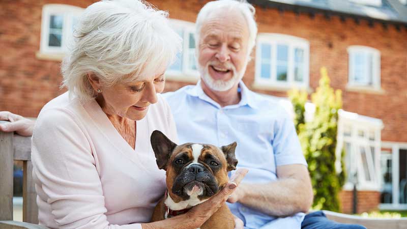 can renters have dogs?