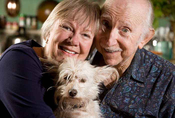 pets for the elderly