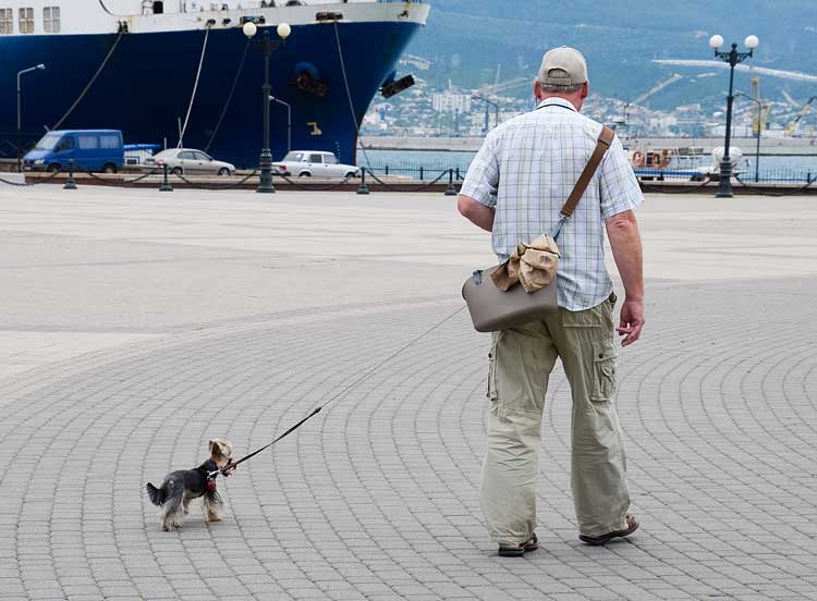 senior citizen walking his dog