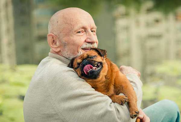 The best dogs for old people over 70.