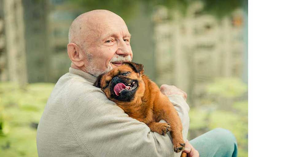 best dogs for seniors #2
