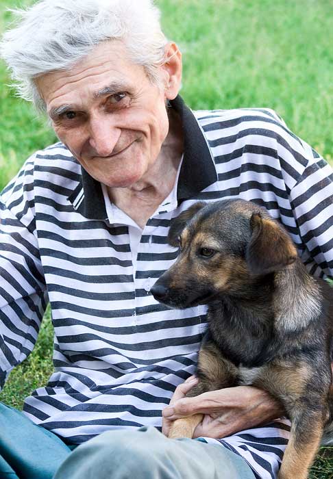 best size dogs for senior citizens