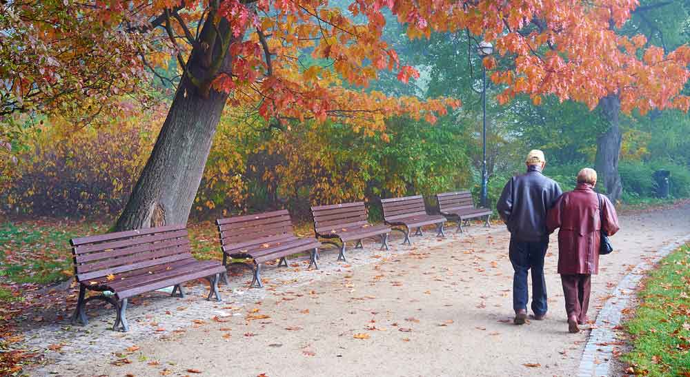pictures of senior citizens exercising, walking together pictures of senior citizens exercising, walking together