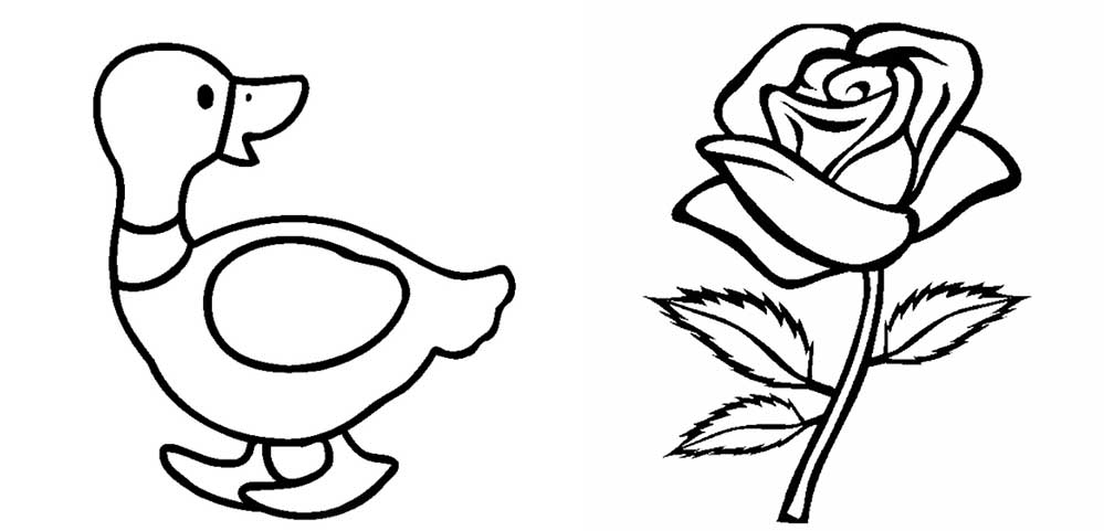 Easy Colouring Pages For Seniors