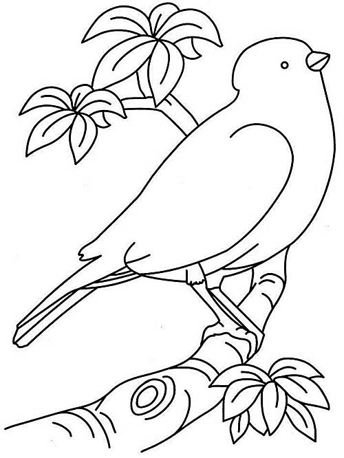 Easy Coloring Pages For Seniors