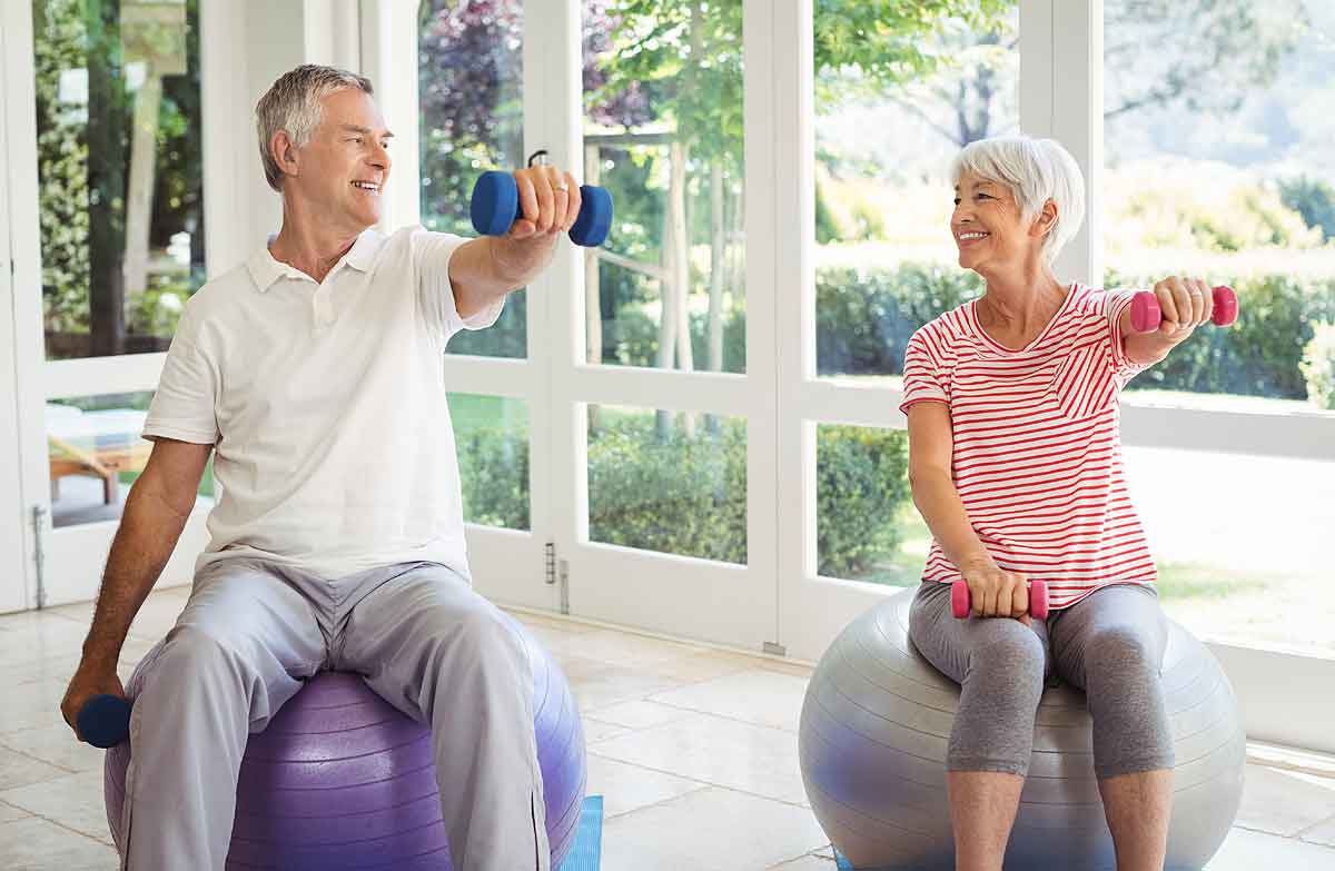 seniors balance ball workouts for beginners seniors balance ball workouts for beginners