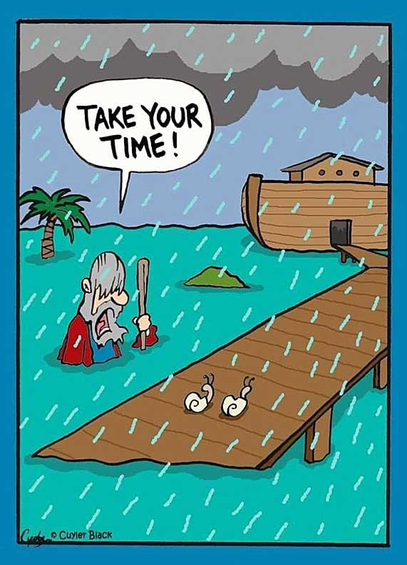 more clean jokes for senior citizens, F120