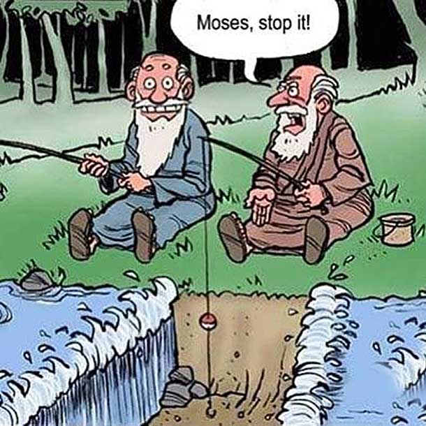 more clean jokes for senior citizens, F122