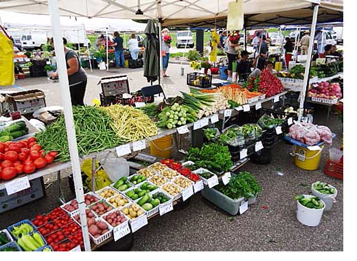 What's a good first date for seniors? - A Farmer's Market. The best fresh produce and all kinds of home made treats to share later. What's a good first date for seniors? - A Farmer's Market. The best fresh produce and all kinds of home made treats to share later.