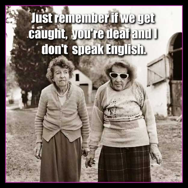 more clean jokes for senior citizens, F2