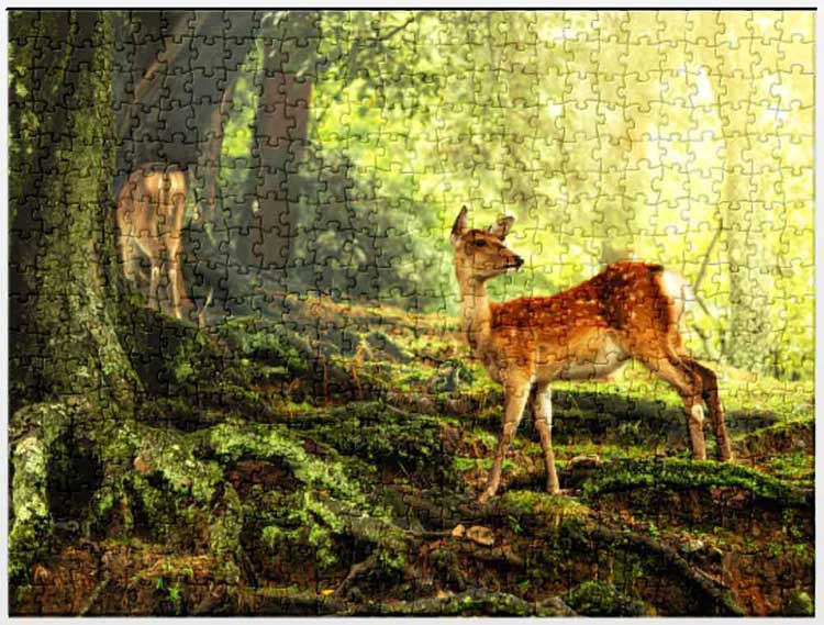 jigsaw puzzles and easy coloring pages for seniors #2