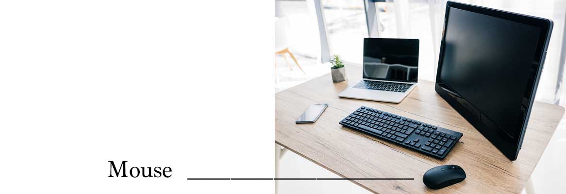 technology for seniors MADE EASY, what is a mouse? technology for seniors MADE EASY, what is a mouse?