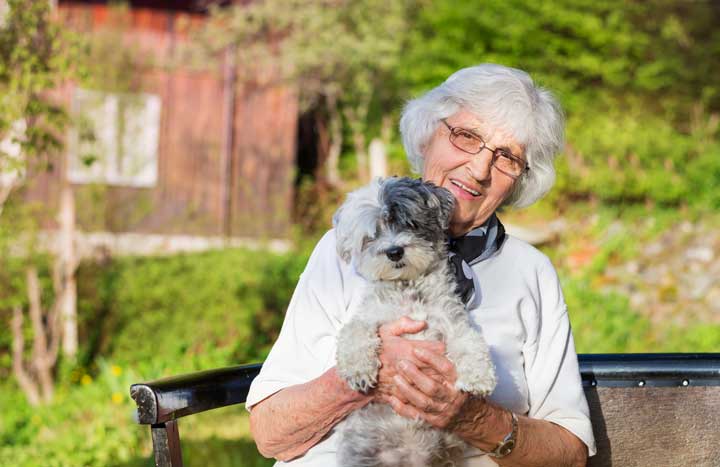 organizations that help senior citizens find companionship with a pet