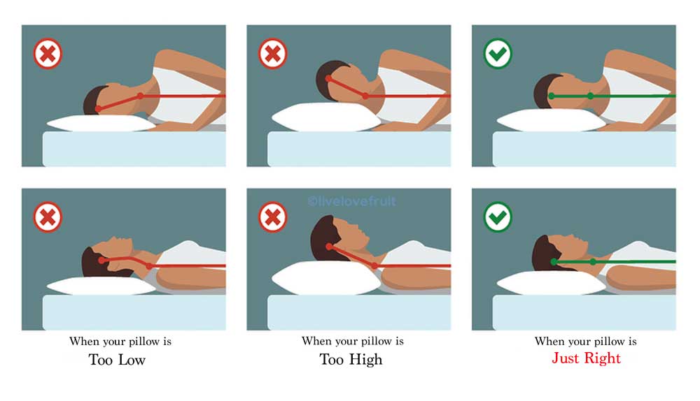 The Best Pillow for a GREAT Night’s Sleep