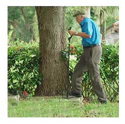 walking canes for seniors posture #3 walking canes for seniors posture #3