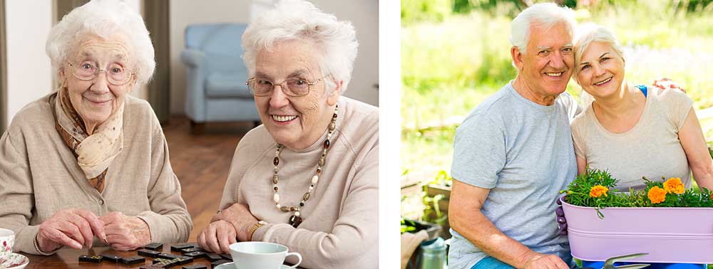 organizations that help senior citizens #2