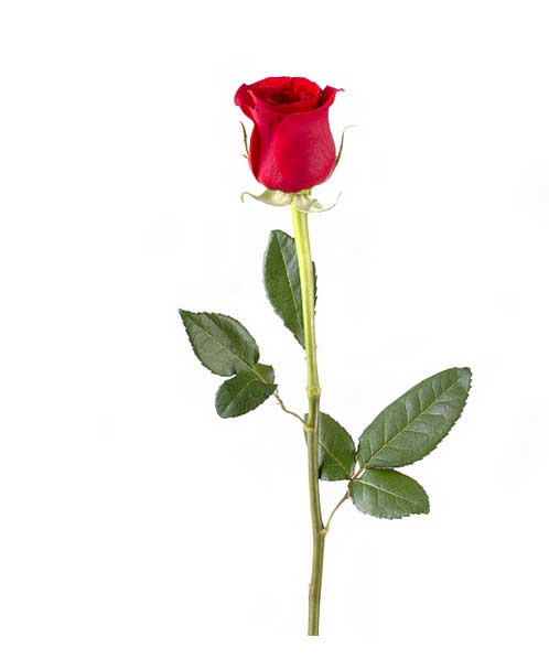 funny senior citizen stories: DINNER OUT funny senior citizen stories: DINNER OUT