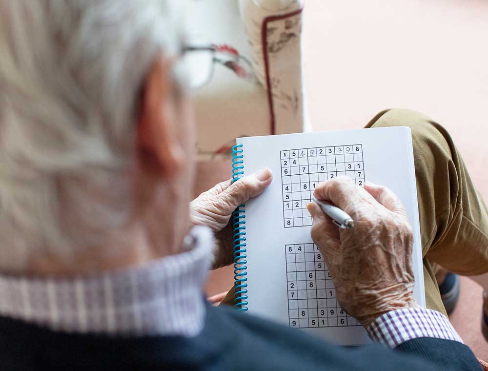 memory games for seniors, Sudoku memory games for seniors, Sudoku