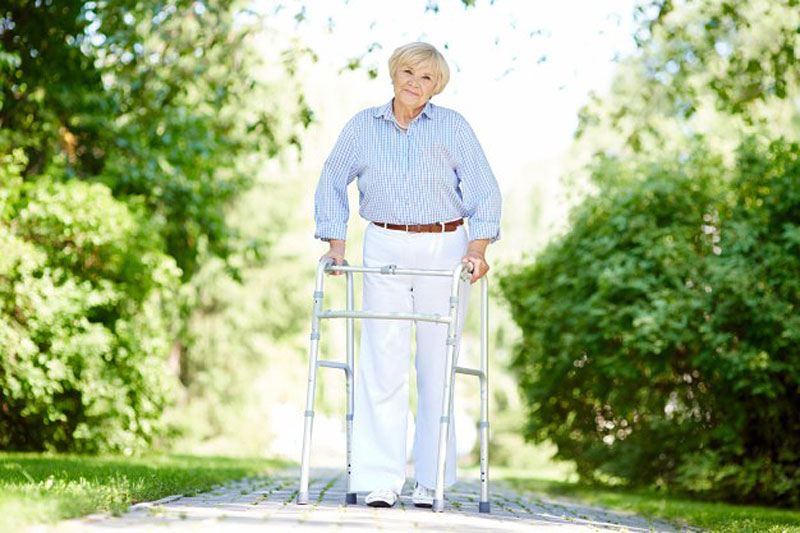 senior citizens walkers senior citizens walkers