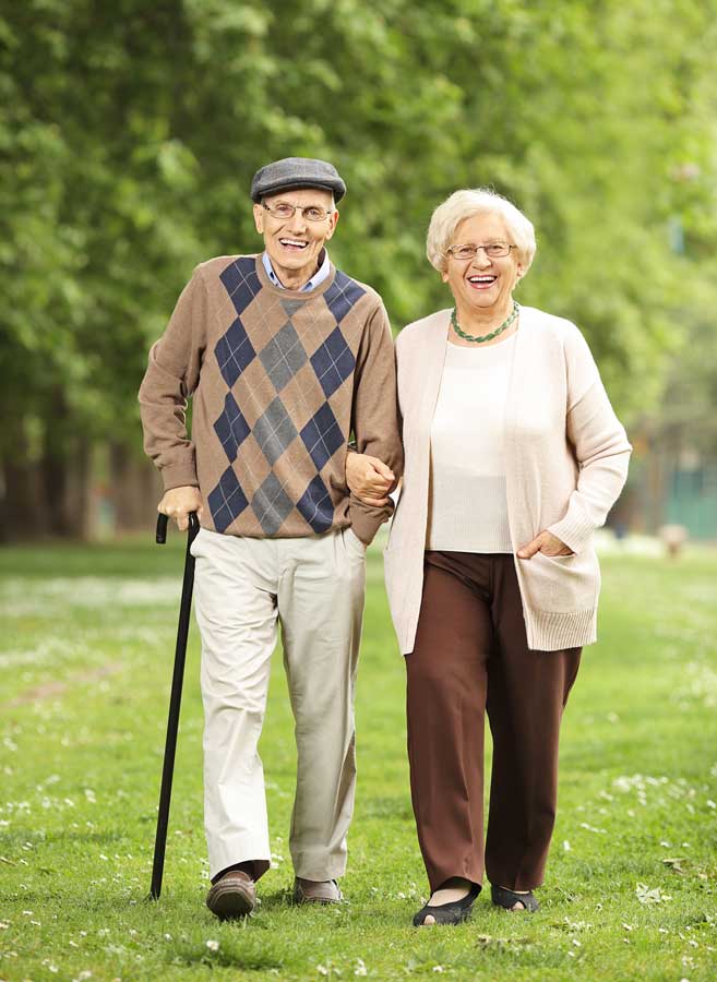 Why should we play Fall Prevention Games for Seniors Why should we play Fall Prevention Games for Seniors