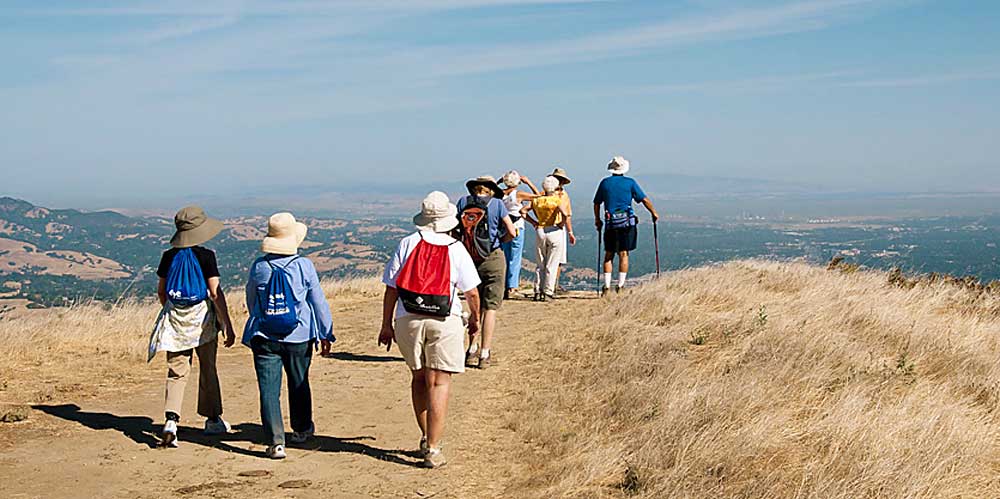 what do old people like, walking, club what do old people like, walking, club