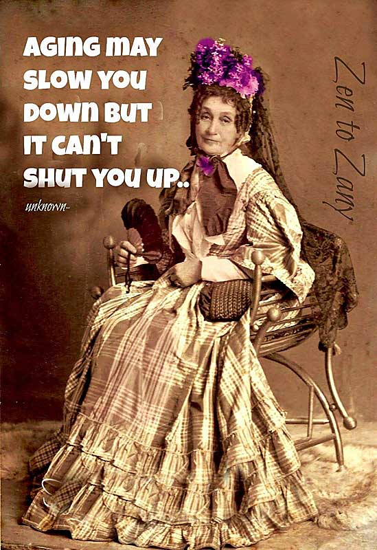 funny senior citizen sayings, #25 funny senior citizen sayings, #25